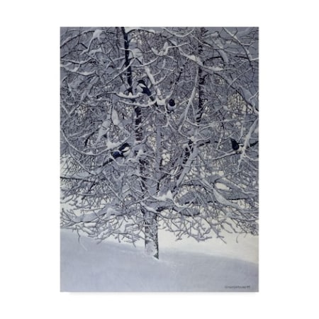 Harro Maass 'Snow Tree With Magpies' Canvas Art,24x32